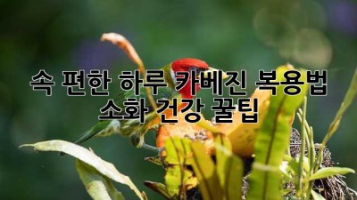속 편한 하루! 카베진 복용법 & 소화 건강 꿀팁🍯