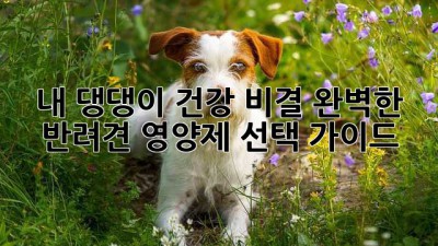 내 댕댕이 건강 비결: 완벽한 반려견 영양제 선택 가이드