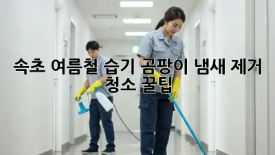 속초 여름철 습기, 곰팡이, 냄새 제거 청소 꿀팁!