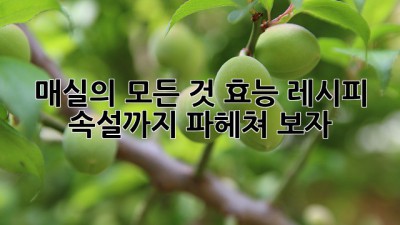 매실의 모든 것: 효능, 레시피, 속설까지 파헤쳐 보자!