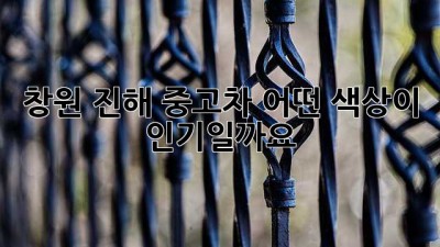 창원 진해 중고차, 어떤 색상이 인기일까요?