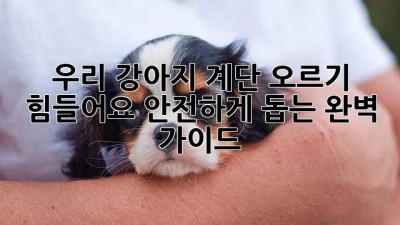 우리 강아지, 계단 오르기 힘들어요? 안전하게 돕는 완벽 가이드!