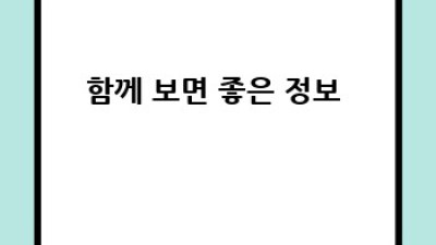 영천 여행, 렌트카와 함께 떠나요!🚗💨